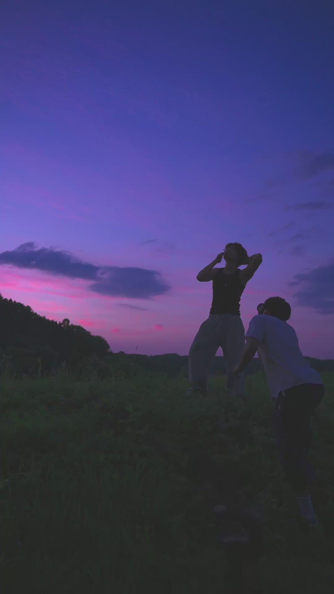 Load video: HOUND Nagano dusk hero portrait v2 (LUT, bt709 tagged)